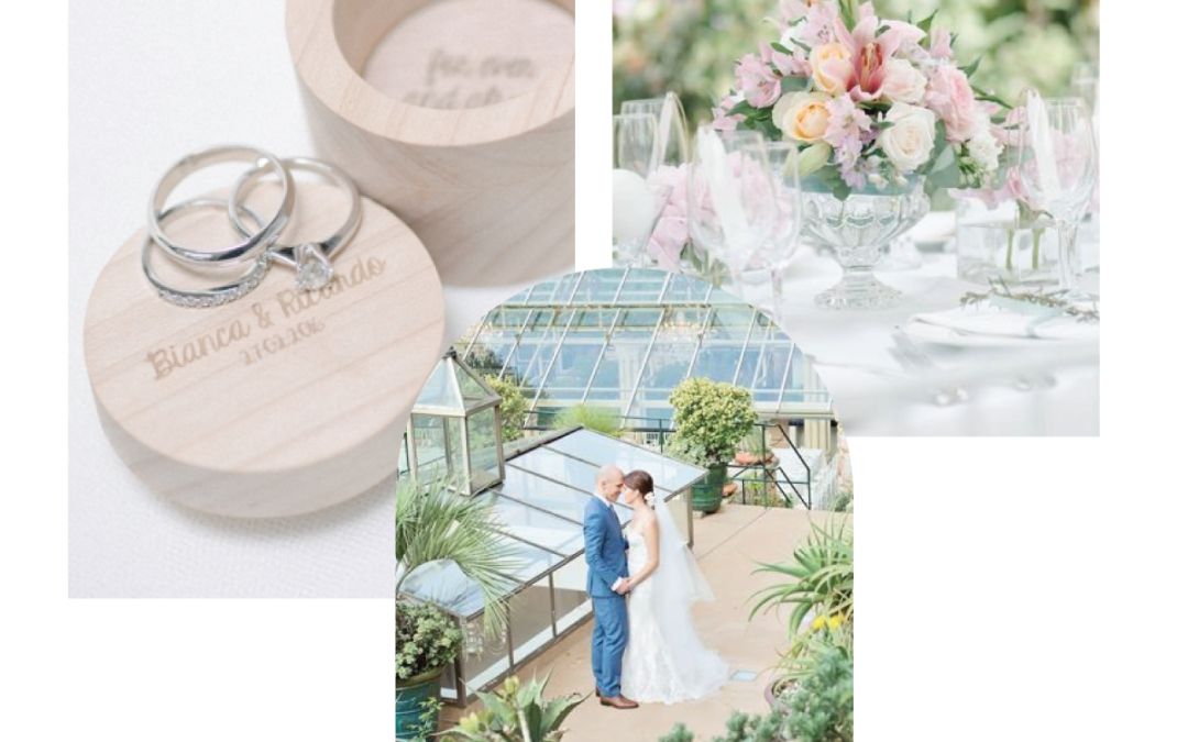 BIANCA AND RICARDO – SHEPSTONE GARDENS